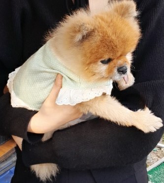 인천광역시수의사회_428351202500696